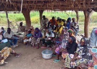 etude de marchés sur les produits locaux