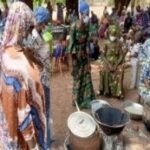 sauce feuille épinard